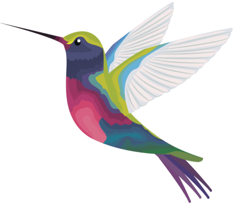 colibri colibri