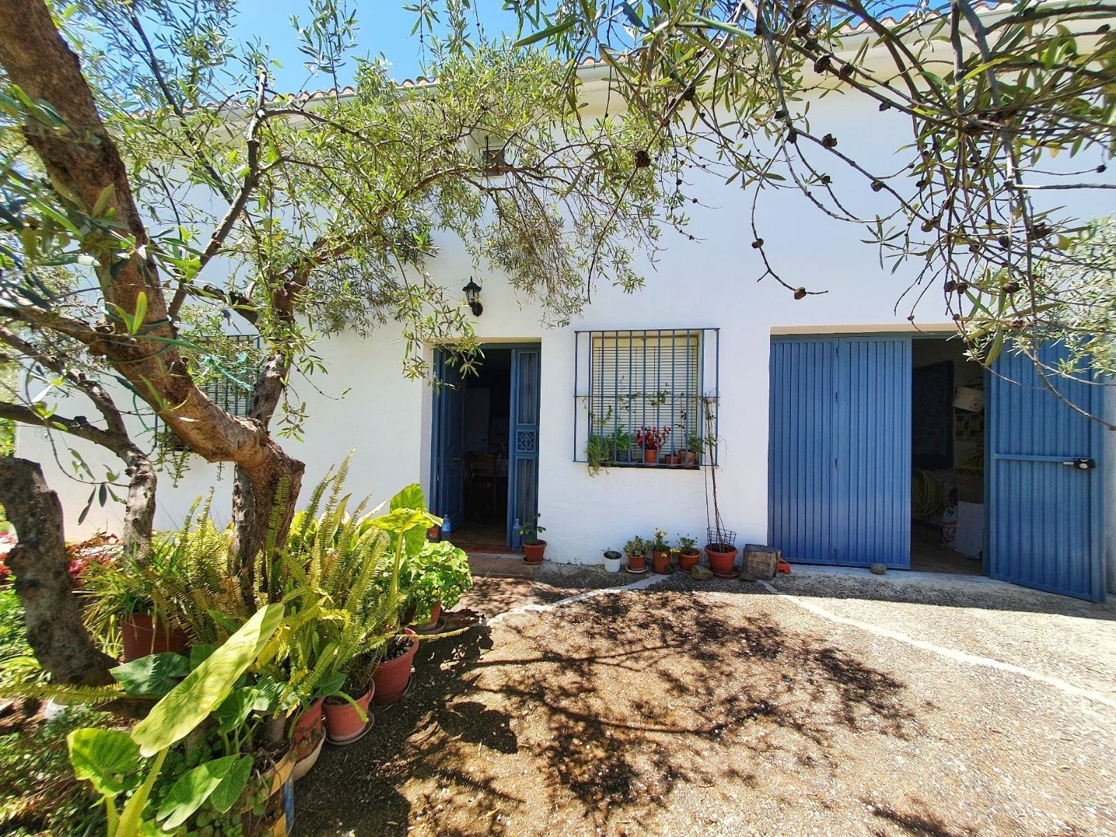 Maison de campagne avec 3 chambres et loft à Tolox